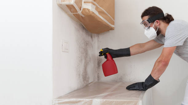 Professional Bathroom Mold Removal technician working in Bethpage, NY