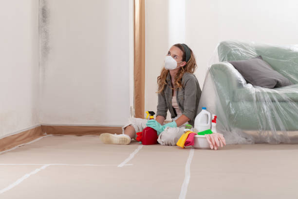 Reliable Bathroom Mold Removal contractor in Bethpage, NY by WQB Mold Removal